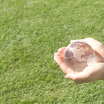 サンプル投稿02