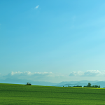 サンプル投稿03